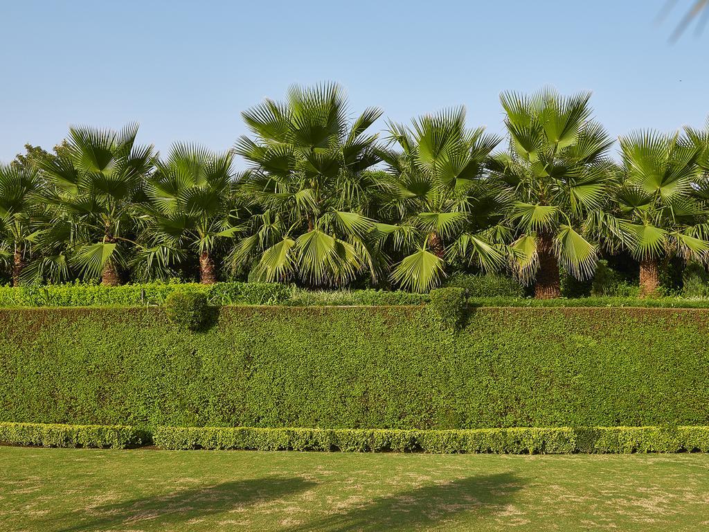 Club Mahindra Kandāghāt Extérieur photo